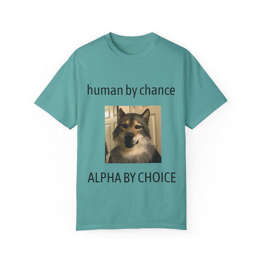 alpha by choice